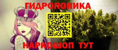таблы Новокубанск
